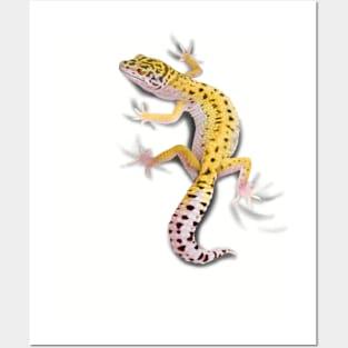 Leopard Gecko Clinger Posters and Art